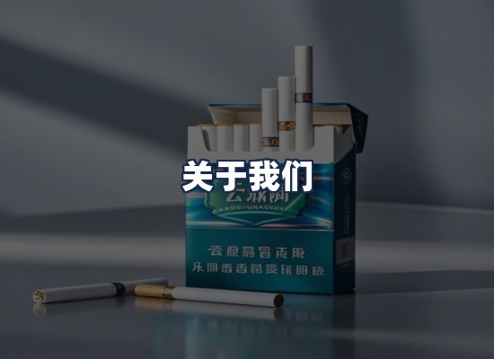 关于我们